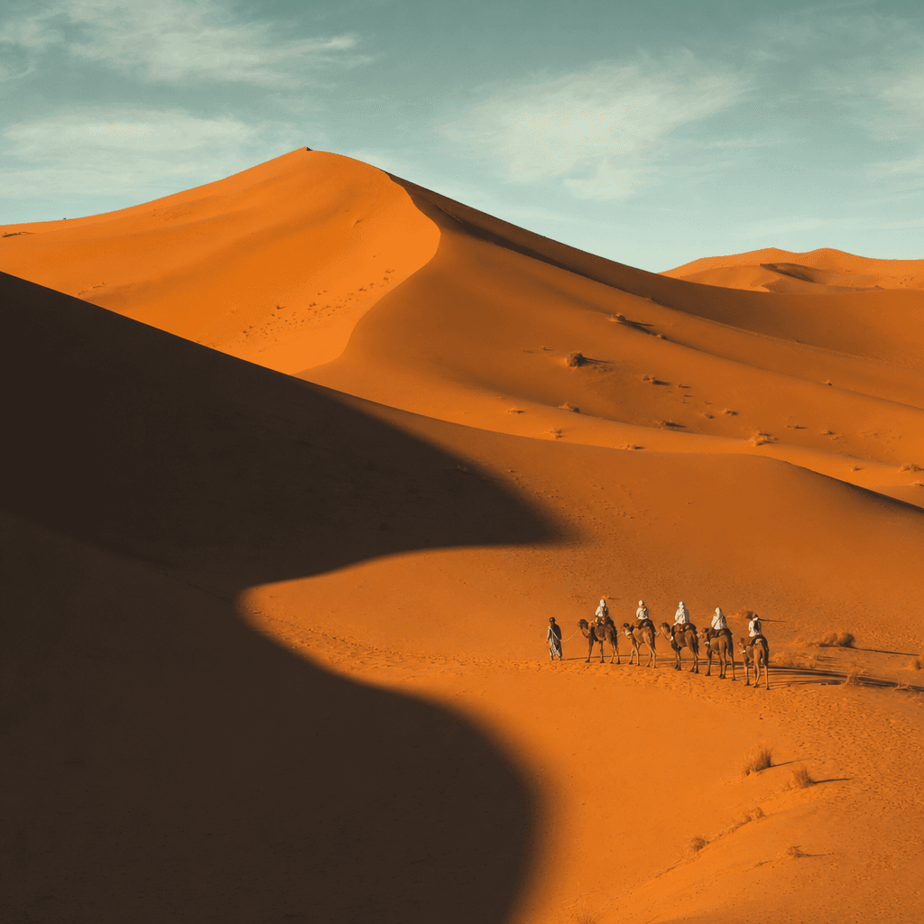 A wide desert landscape of towering orange sand dunes fills the frame, with smooth wind-carved slopes, sharp ridge lines, and deep black shadows cutting across the left and lower foreground.