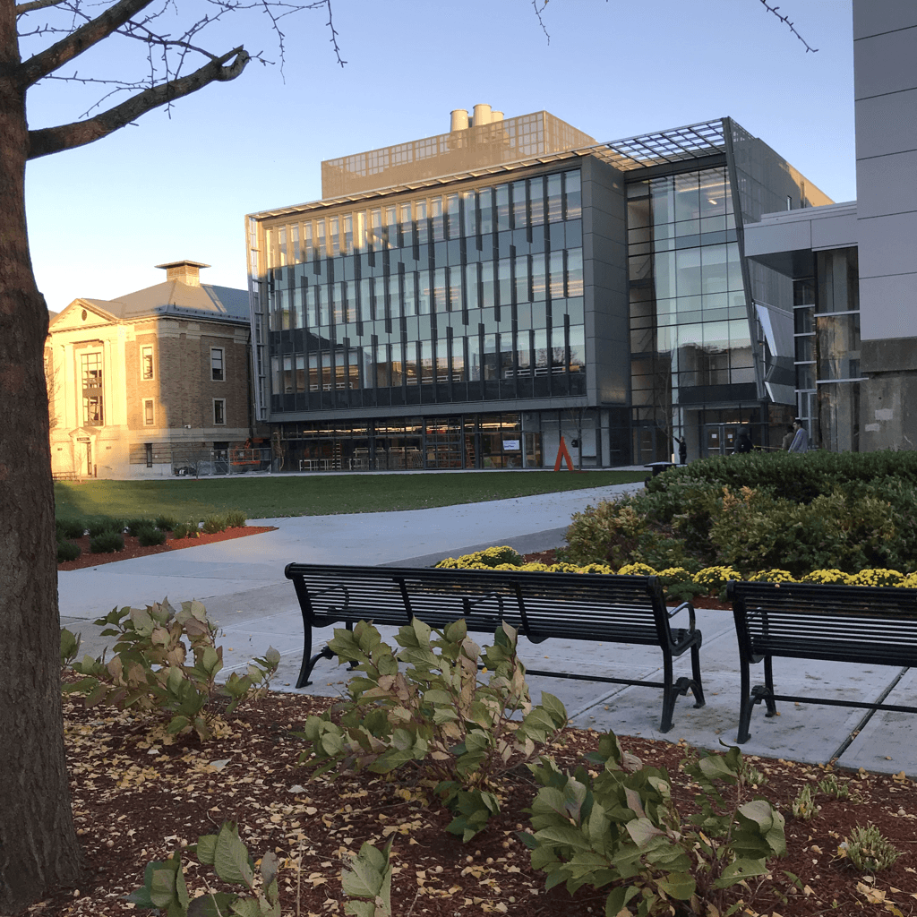 A modern multi-story building dominates the midground, its façade a grid of dark vertical mullions and reflective glass panels catching warm late-afternoon light, with rooftop vents and a glass-canopied section angling toward the right.