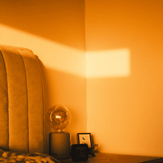 The scene is set indoors, in what seems to be a cozy bedroom corner.