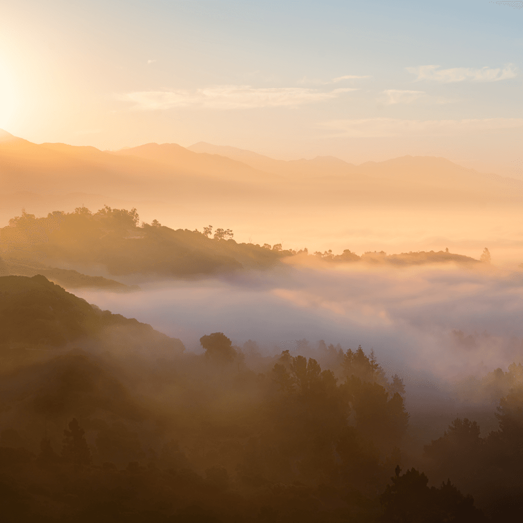 The scene is set outdoors during the early morning as the soft glow of dawn bathes the landscape in warm, golden hues.