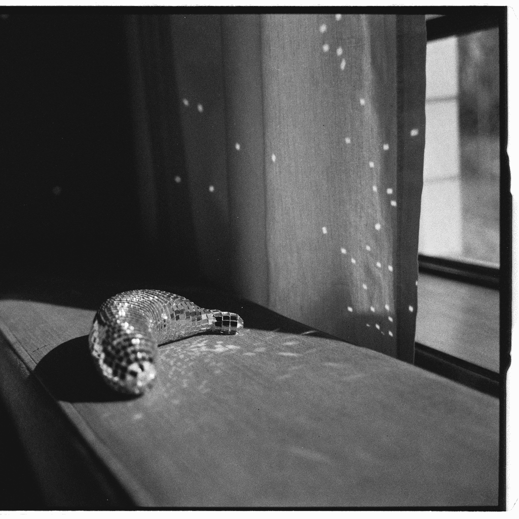 A close, low-angle black-and-white view shows a small reflective chain or flexible metal object lying on a smooth wooden surface near the lower left foreground, its curved body catching bright highlights and casting a dark shadow.
