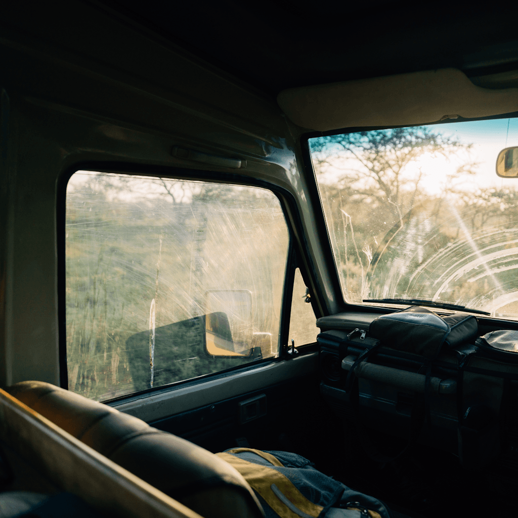 The scene unfolds inside a rugged vehicle, possibly a safari jeep, suggesting a sense of adventure.