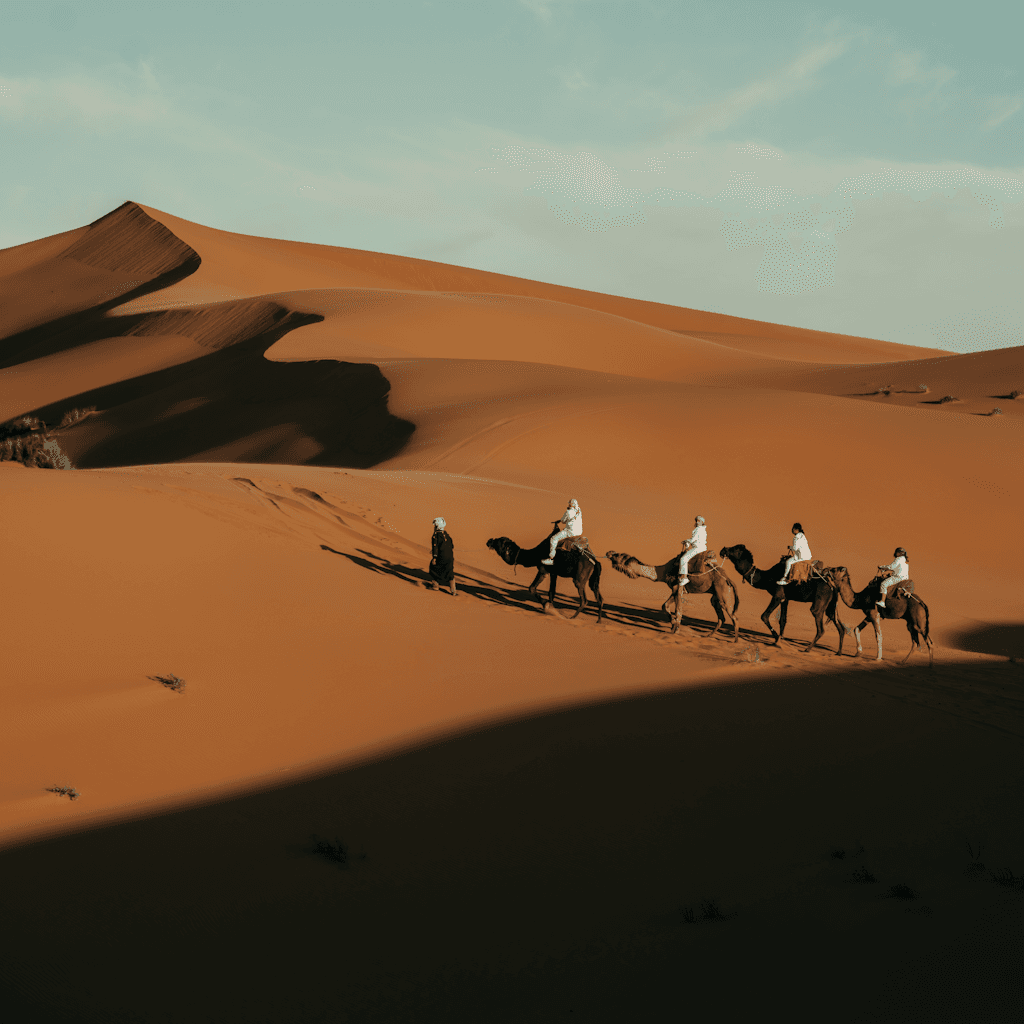 A wide desert landscape of towering orange sand dunes fills the frame, with smooth wind-carved slopes, sharp ridge lines, and deep black shadows cutting across the left and lower foreground.