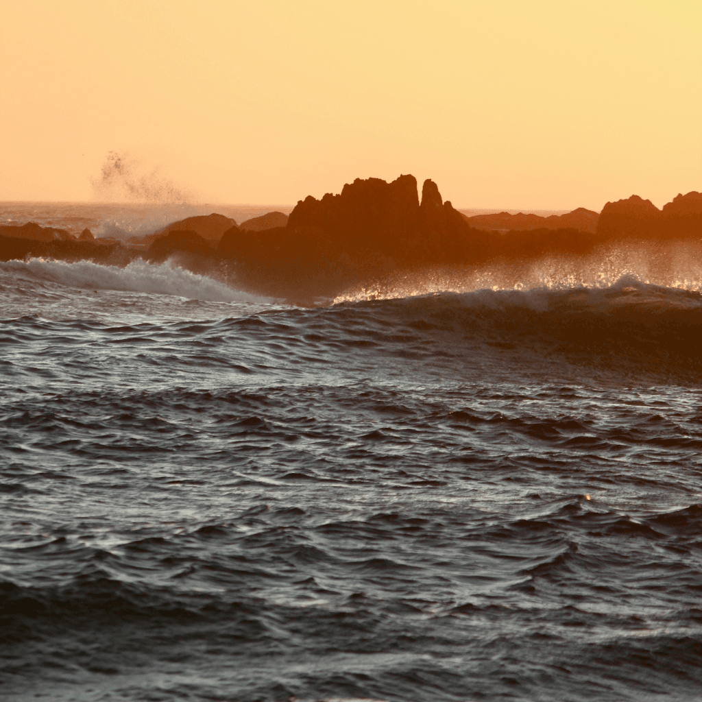 The scene is set outdoors at sunset, casting a warm, golden glow across the landscape.