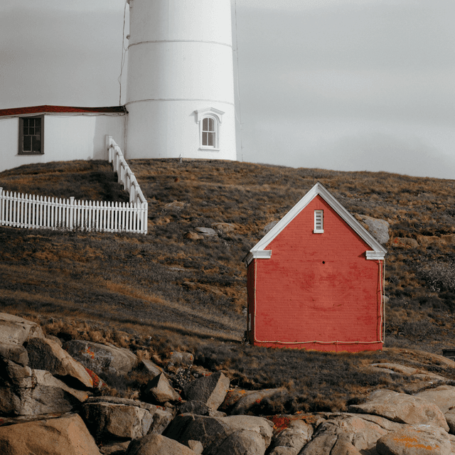 The scene is set outdoors at a coastal location during the daytime, enveloped in overcast lighting that softens the surroundings with a muted gray tone.